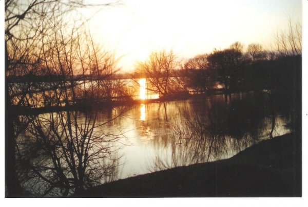 Фотовиставка Олександра Пизи